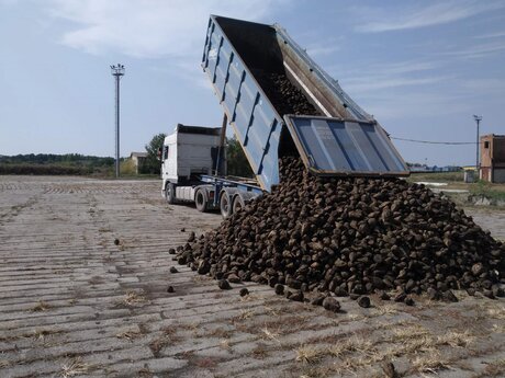 Хорстківське виробництво розпочало Цукрову кампанію 2020