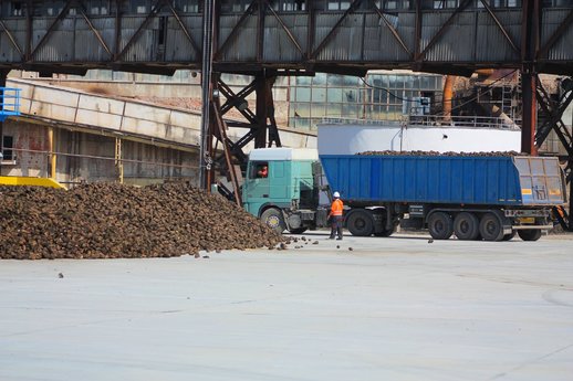 Розпочав свою роботу в новому сезоні цукроваріння завод Радехівського підрозділу, бурякопункт Чортківського підрозділу приймає цукровий буряк.